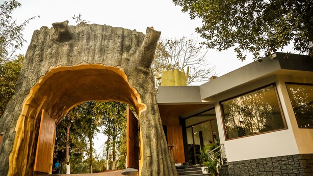 Um edifício moderno com uma grande estrutura em forma de árvore na entrada, uma escadaria que leva à entrada e vista dos arredores arborizados.