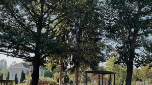 A park with a wooden bench, colorful chairs, and a gazebo.