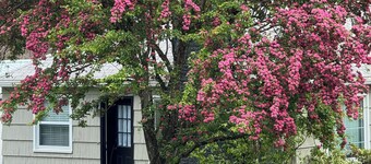 Charming 2-bdrm downtown Coeur d'Alene Historic Foster Ave-Garden District
