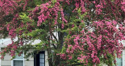 Charming 2-bdrm downtown Coeur d'Alene Historic Foster Ave-Garden District