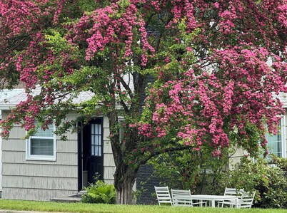 Charming 2-bdrm downtown Coeur d'Alene Historic Foster Ave-Garden District
