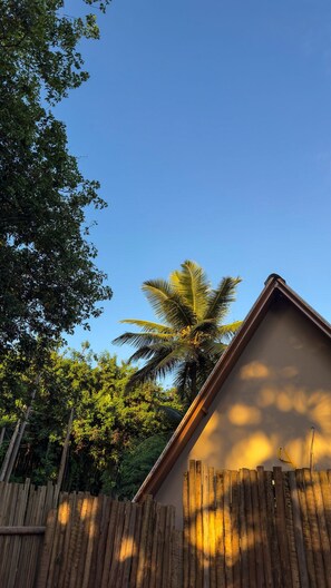 Property grounds - Cabana Pitomba (Fernando de Noronha)