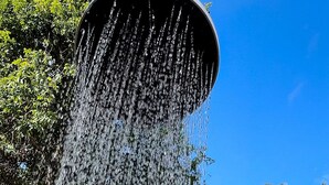 Wasser fließt aus dem Duschkopf.