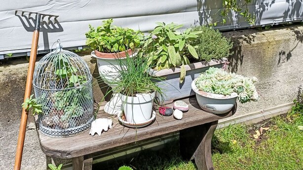 A garden bench with potted plants, a metal birdcage, and gardening tools. - Olmo Garden Apartment by Interhome (Valtellina)