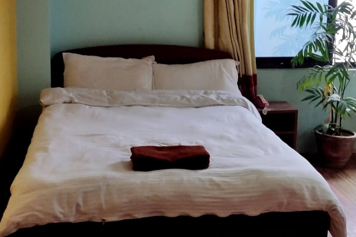 Una cama bien hecha con cabecera marrón, una mesita de noche con teléfono y una planta en maceta junto a la ventana.