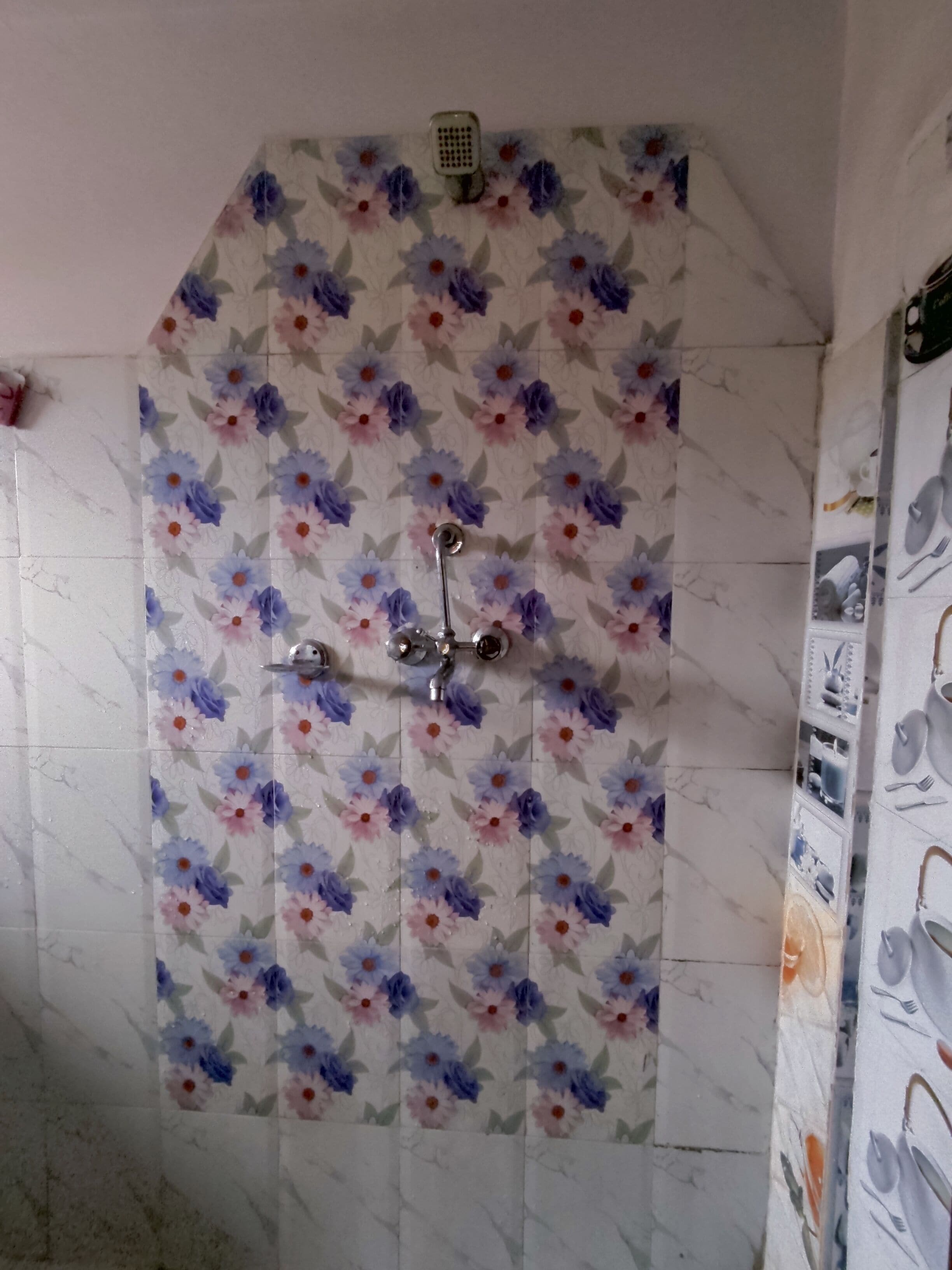 Une salle de bain avec des carreaux à motifs floraux, une pomme de douche et un espace de douche carrelé.