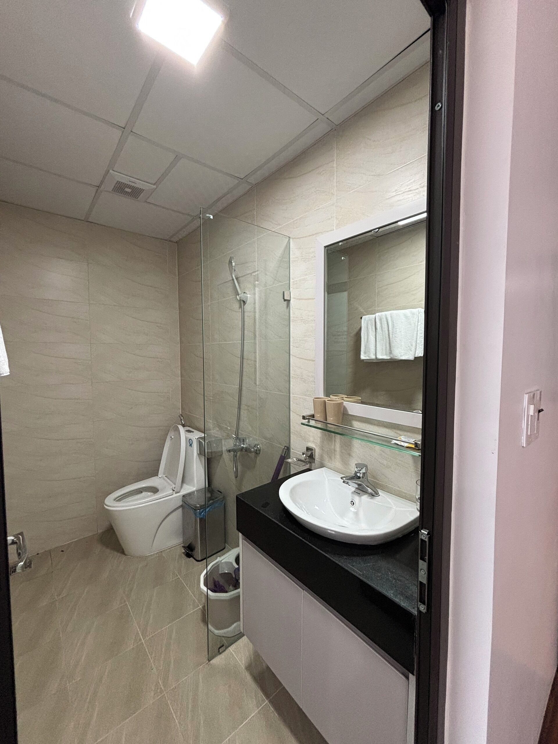 A modern bathroom with a glass-enclosed shower, a white toilet, and a sink with a mirror above it.