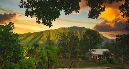 5 minutes walk to the gate of the Rinjani Mount Trekking Centre in Sembalun.