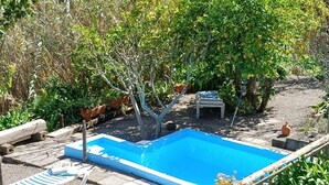 Unclassified image, 3 of 40, button - Vivelorural El Caminante- Valleseco, private pool (Valleseco)