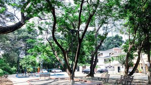 Un parque con bancos, árboles y un área de juegos.