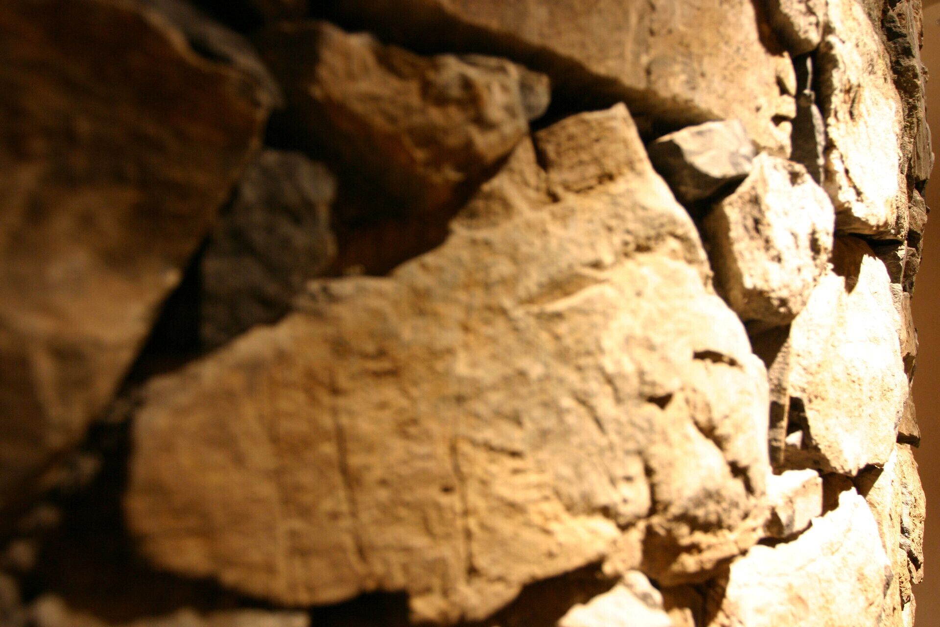 Détail de l’intérieur