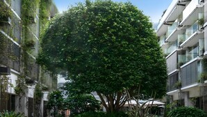 A courtyard with a large tree, potted plants, and modern buildings with balconies. - Bondi Pacific Studio - Managed by X Hospitality (Bondi Beach)