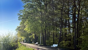 A paved pathway flanked by trees, benches, and a signpost. - Apartment "Melosine" with Balcony (Koserow)