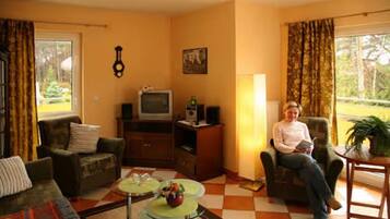 Fernseher, DVD-Player