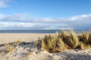 A sandy beach with dunes and grasses.