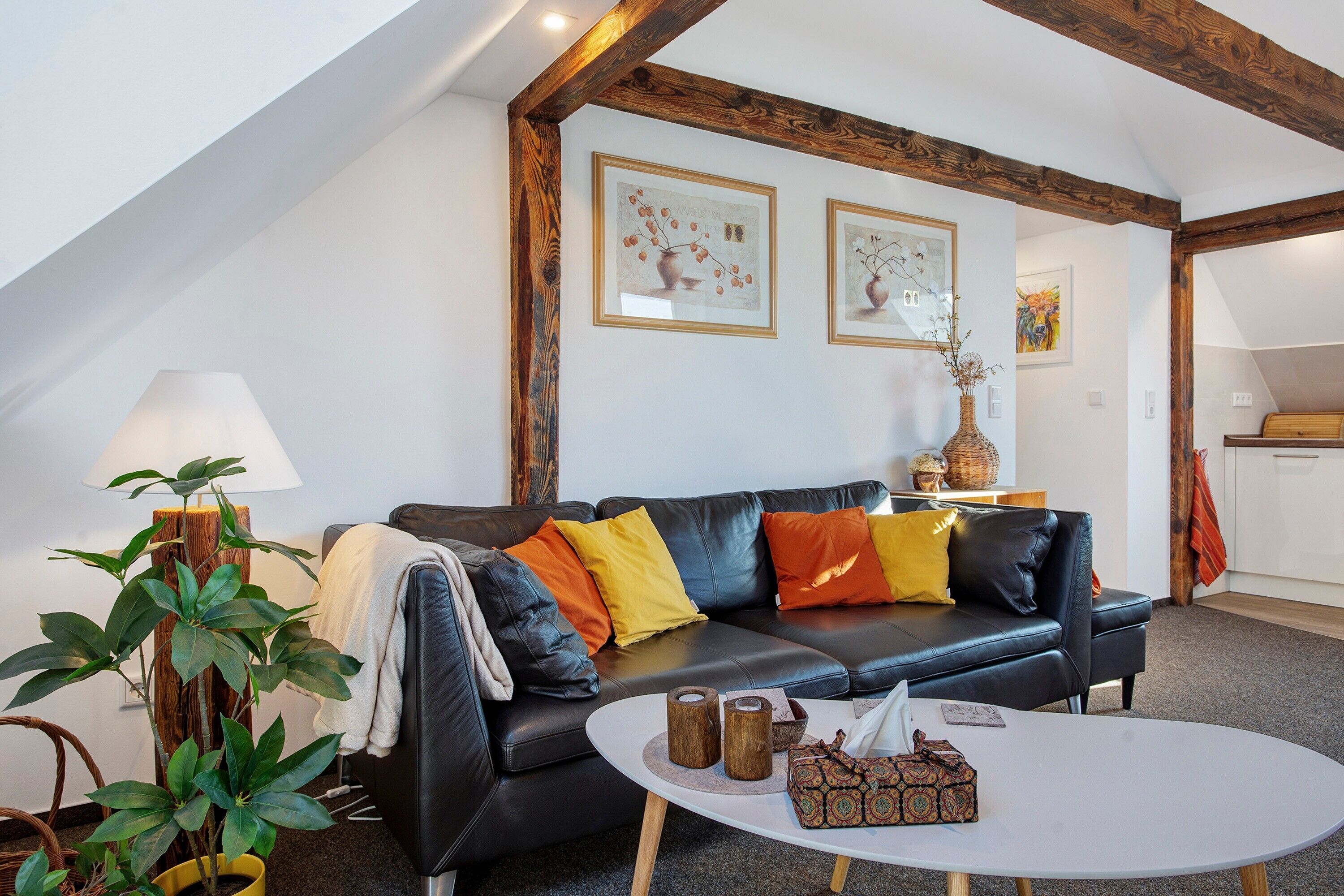 电视、DVD 播放器、立体声音响