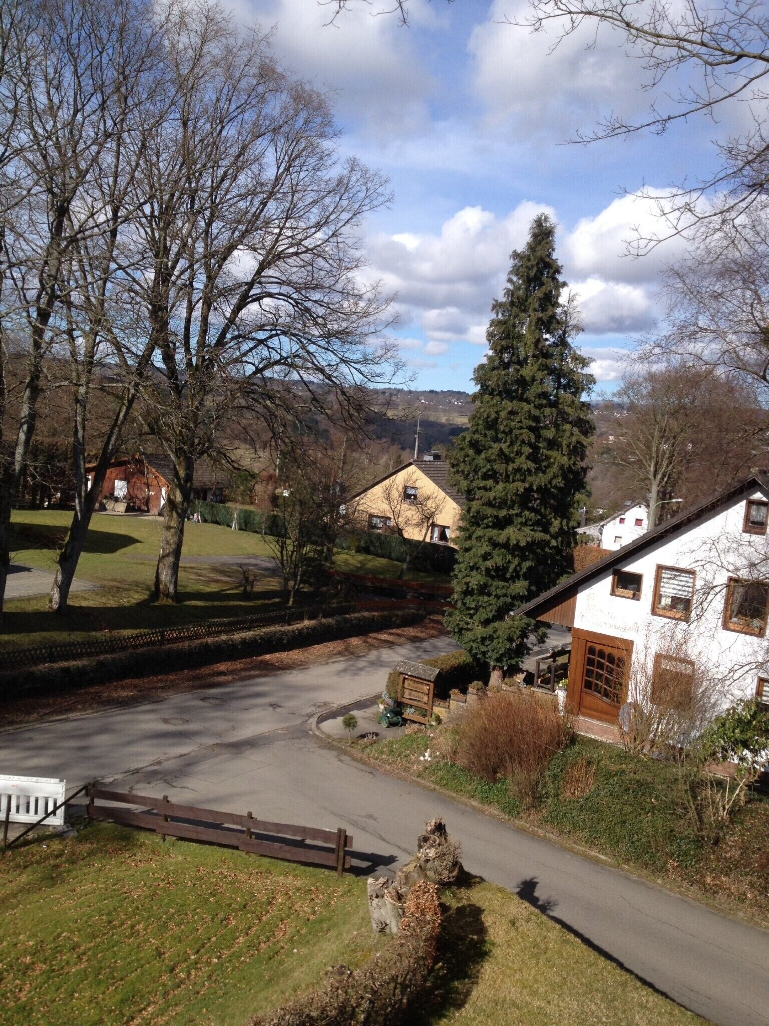 Eine Landstraße mit Häusern, einem großen Baum und einem Schild.