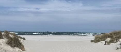 بالقرب من الشاطئ