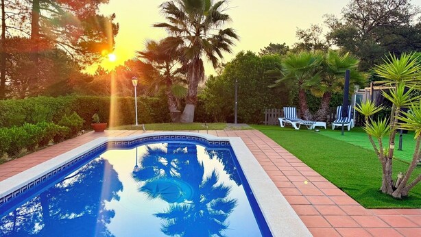 Une piscine dont le bord est revêtu de carreaux, entourée d’un chemin en briques, de palmiers et d’une pelouse agrémentée de chaises longues.