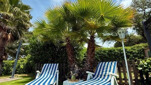 Deux fauteuils de jardin blancs, dotés de coussins à rayures bleues et blanches, sont placés sur une pelouse bien entretenue, avec un palmier et d’autres plantes vertes en arrière-plan.