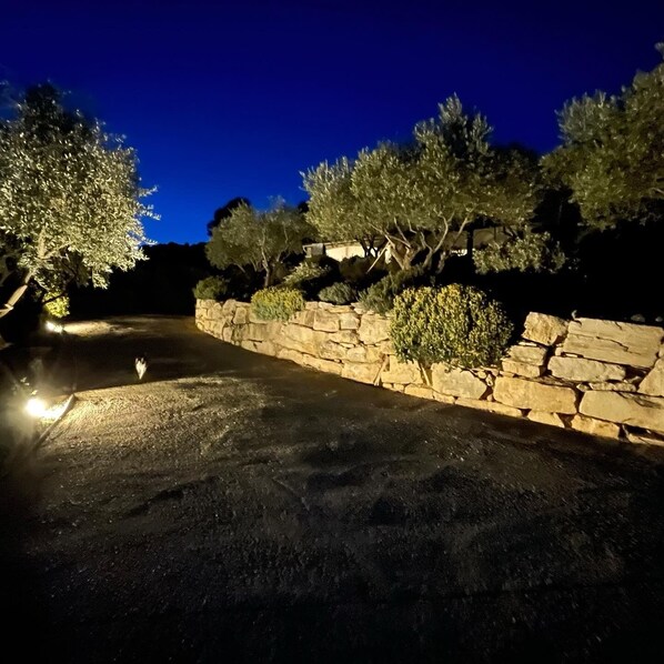 Vue nocturne d’une allée pavée menant à un mur de pierres, bordée d’une rangée d’arbres et d’arbustes.