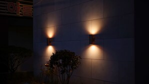 Fachada de un edificio de noche con dos luces empotradas y una planta pequeña al frente.