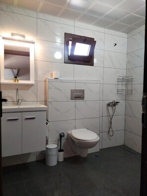 Une salle de bain équipée de toilettes, d’un lavabo, d’un miroir et d’une douche.