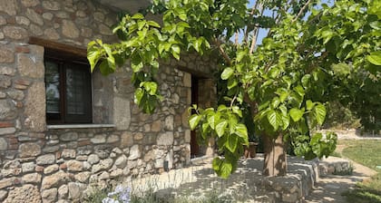 Anemos Stone Houses