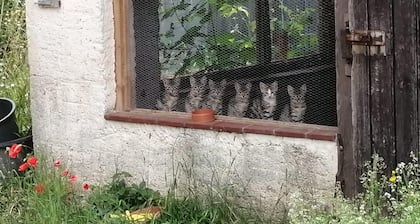 Gartenwohnung im Grünen auf Mühlengelände in der Nähe von Weimar
