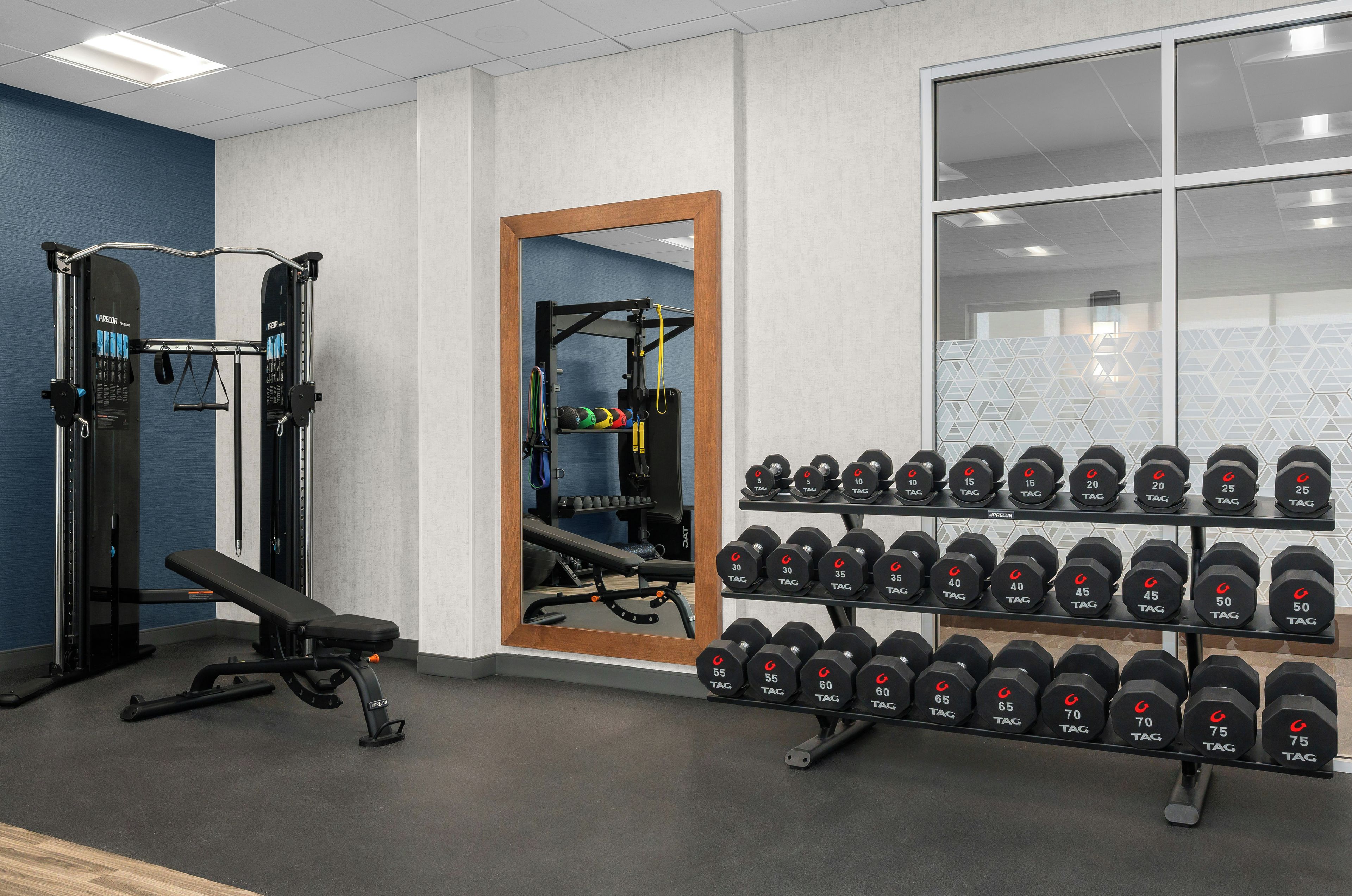A gym with weightlifting equipment, a bench, and a rack of dumbbells.