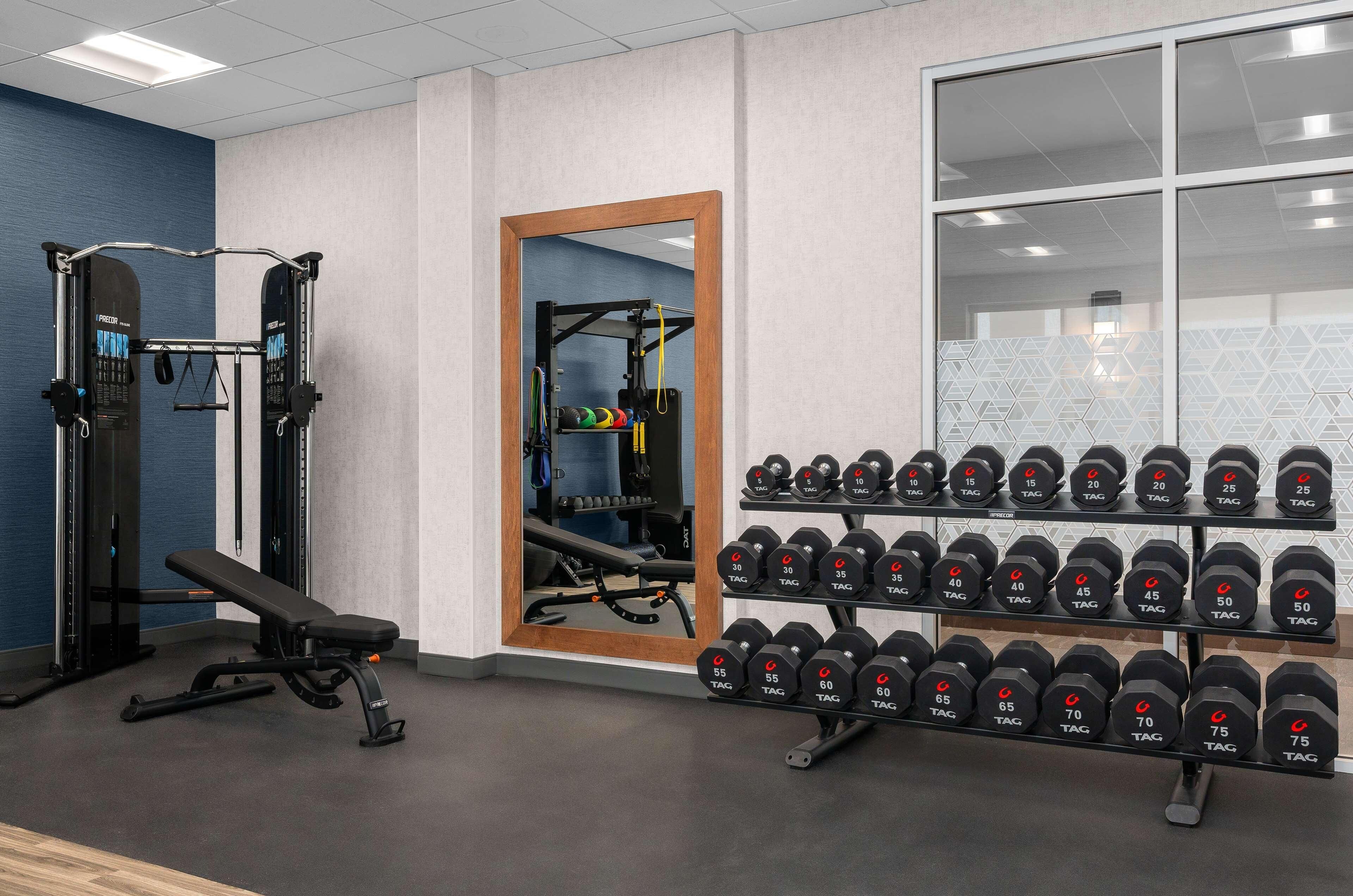 Une salle de sport équipée de matériel de musculation, d’un banc et d’un porte-haltères.