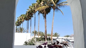 An arched window with a view of palm trees and a white building.