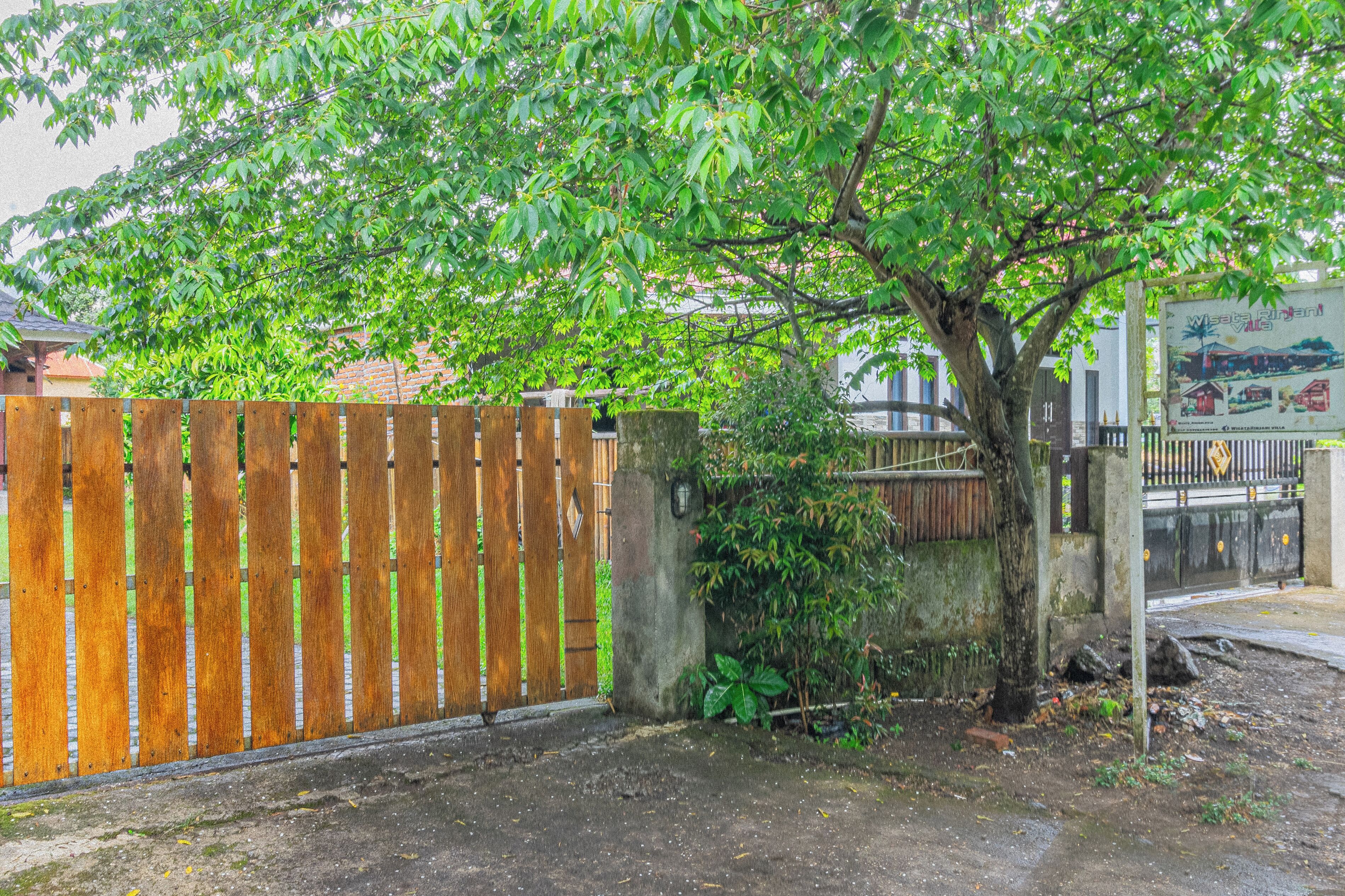 A wooden fence, a tree, and a concrete wall.