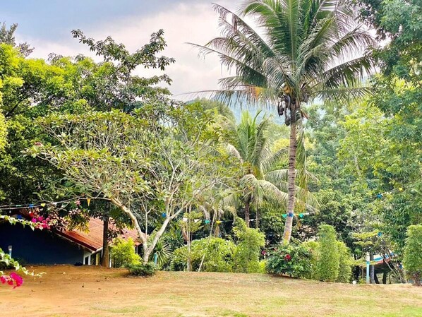 Exterior - Relax Camp Resort Kaeng Krachan (Kaeng Krachan)