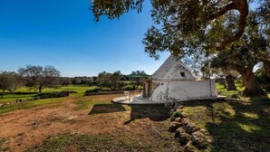 Property grounds - Trulli e Pajare, Trullo Don Andrea a Carovigno (Carovigno)