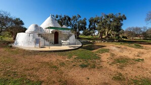 Exterior - Trulli e Pajare, Trullo Don Andrea a Carovigno (Carovigno)