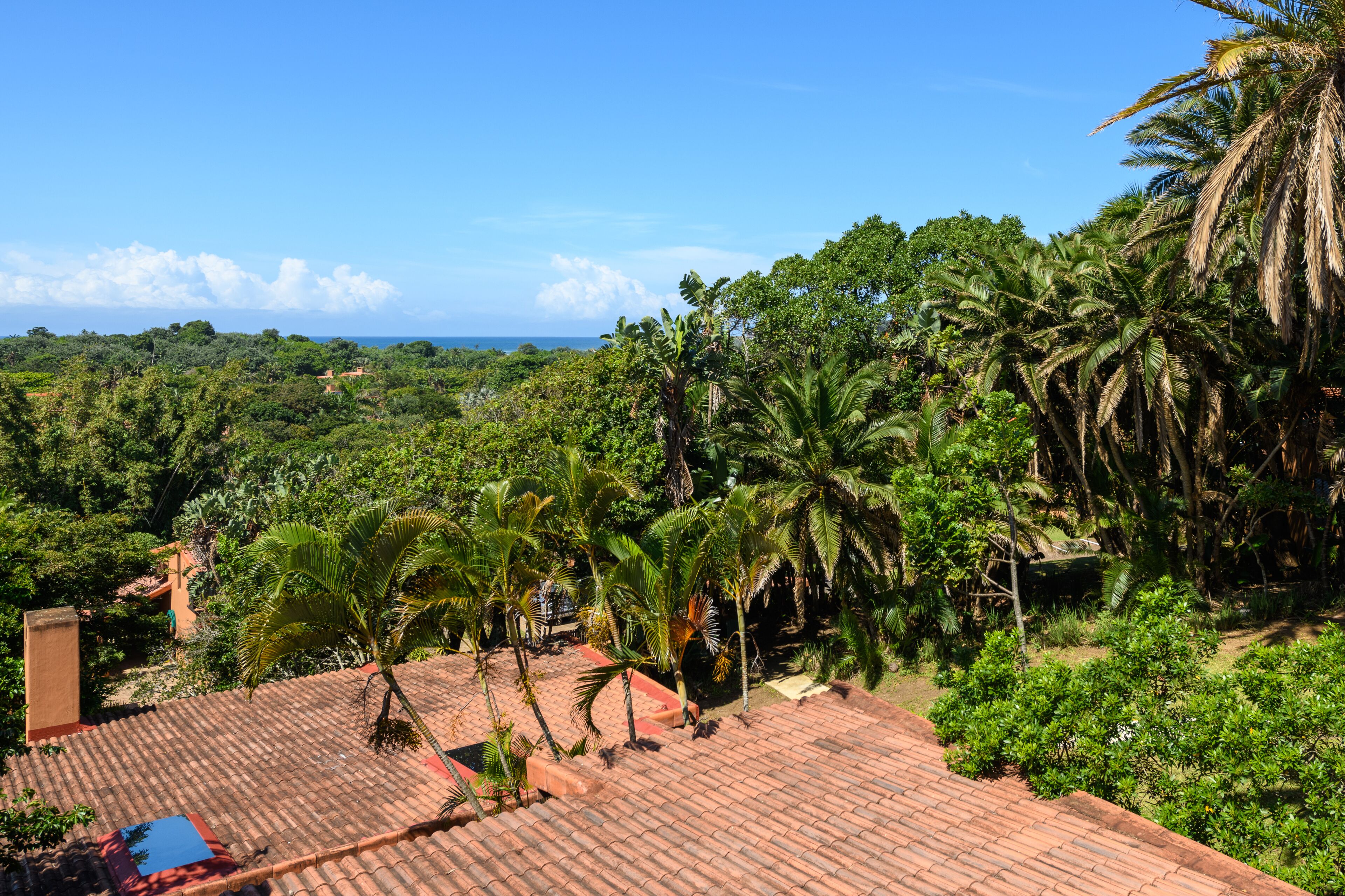 A view of a lush landscape with palm trees and a tiled roof.
