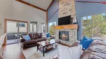 TV, fireplace, video games, offices