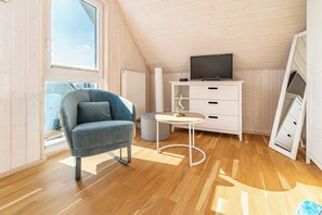 Télévision, cheminée, vidéothèque