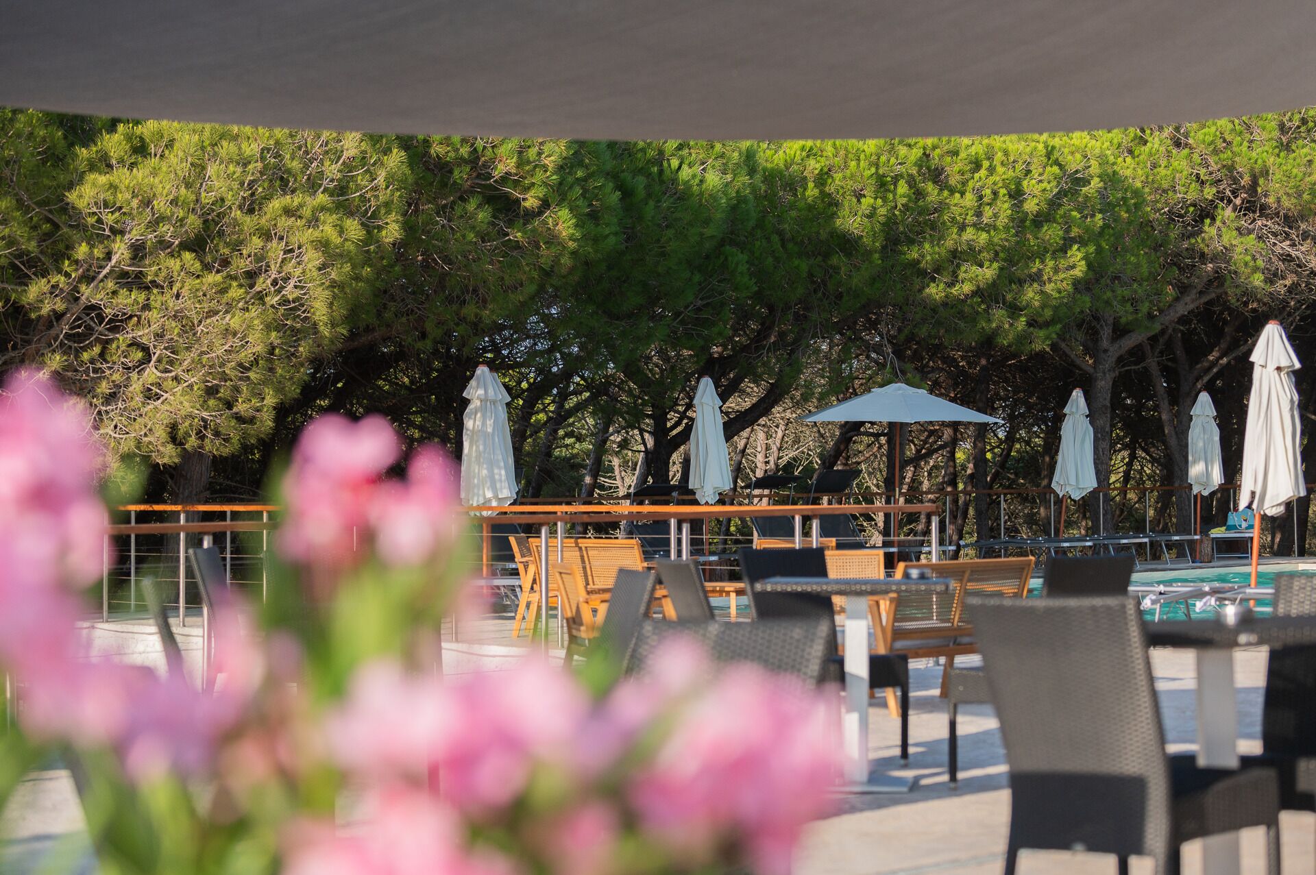 An outdoor seating area with tables and chairs, umbrellas, and a pool.