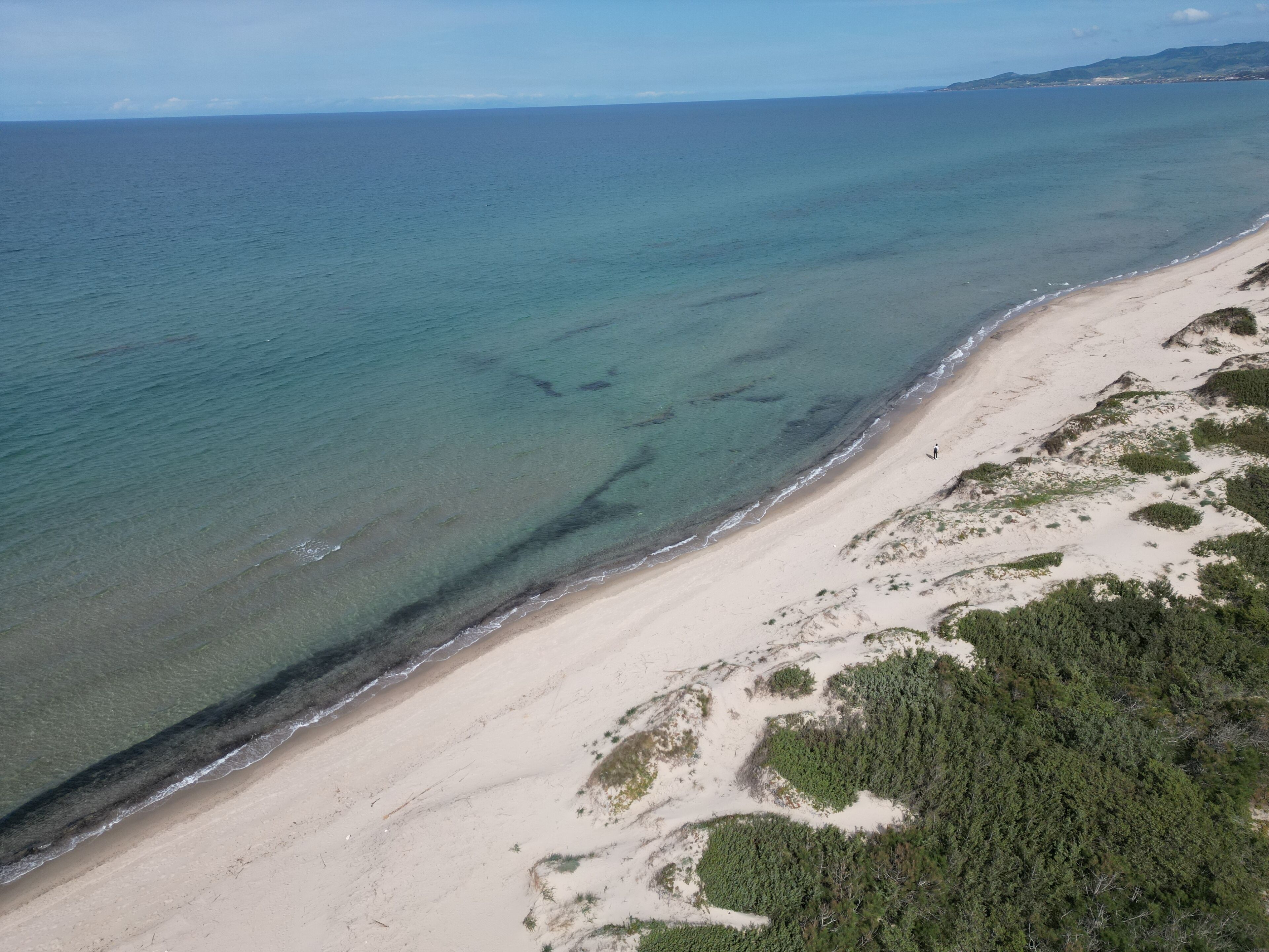 Vista aèria d'una platja amb aigua cristal·lina, sorra daurada i vegetació abundant.