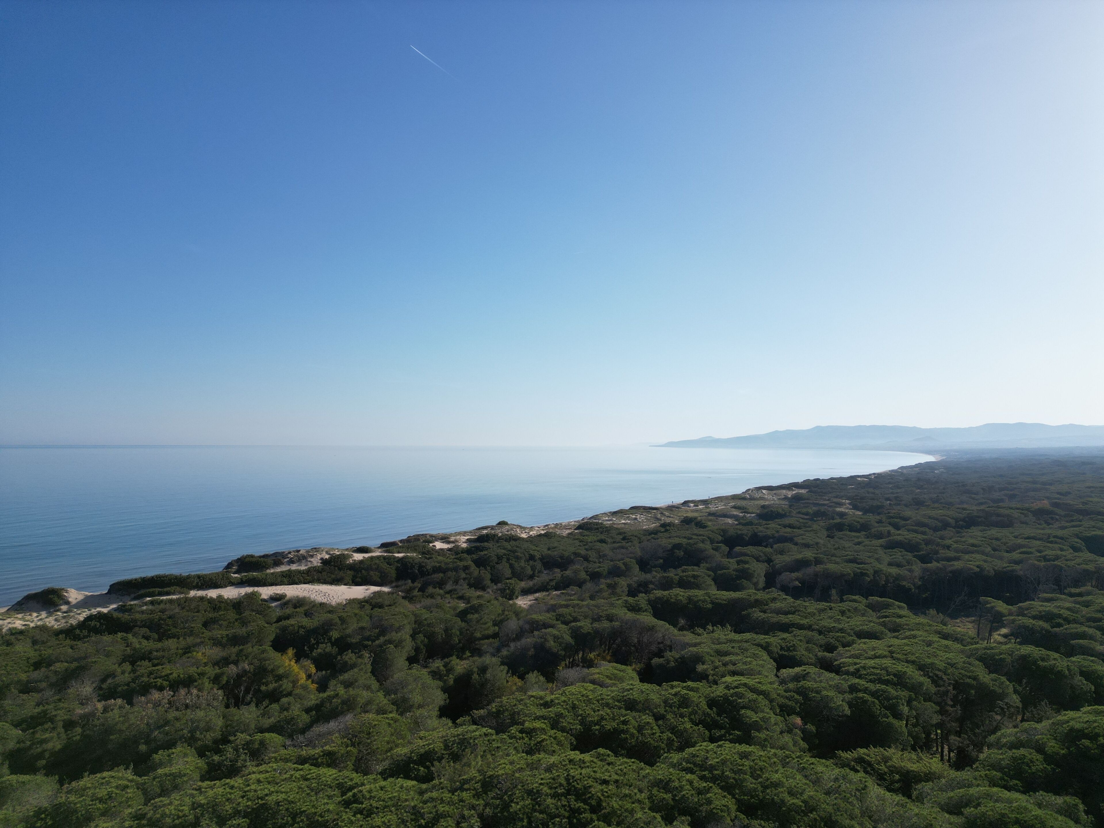 A coastal landscape with dense green forest and a clear view of the sea.