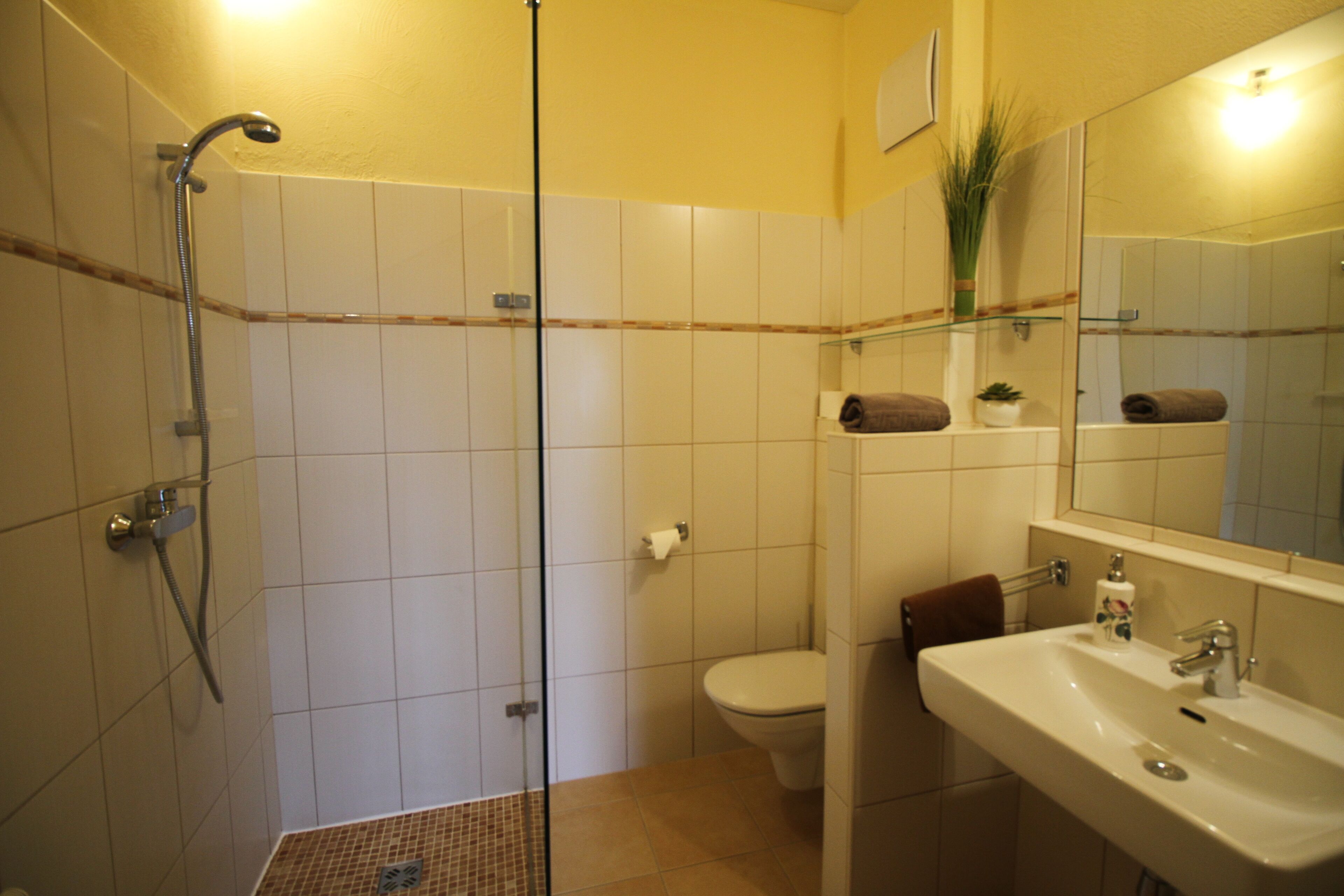 A bathroom with a glass shower enclosure, a toilet, and a sink with a mirror.