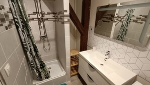 Une salle de bain avec une douche, un lavabo et un miroir.