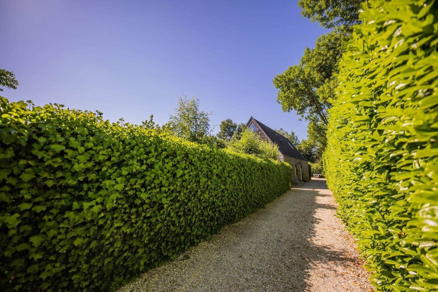 Terrein van de accommodatie