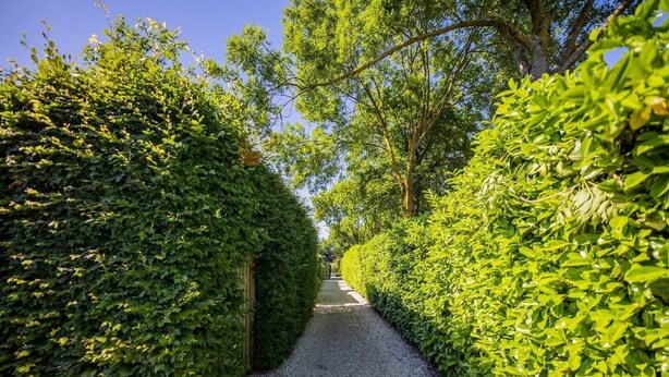A pathway flanked by neatly trimmed hedges and trees, leading to a clear sky. - Superb 90m² Apartment with Garden (KS-8-A) (Eindhoven)