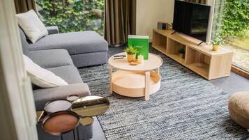 Fernseher, Arbeitsbereiche