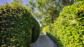 A pathway flanked by neatly trimmed hedges and trees, leading to a clear sky.