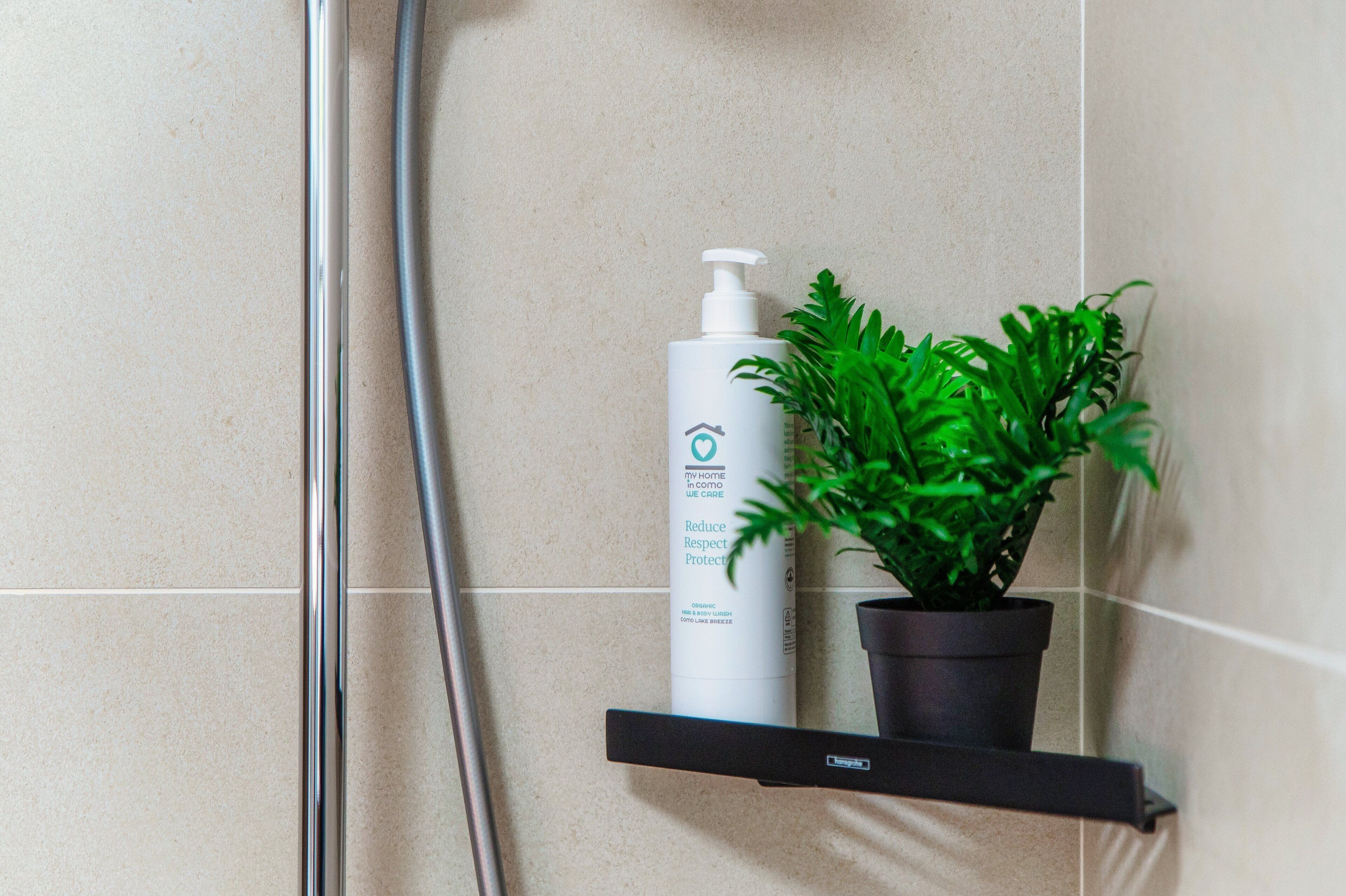 A bathroom with a shower, a white bottle of lotion, and a potted plant on a shelf.