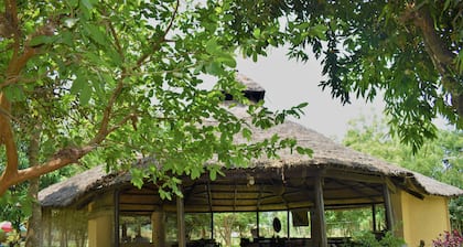 Mango Tree Lodge